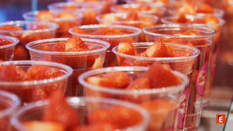 franchise la freseria 1