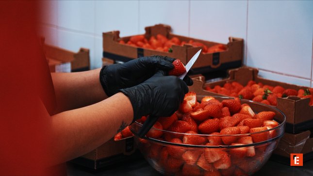 franchise la freseria 11