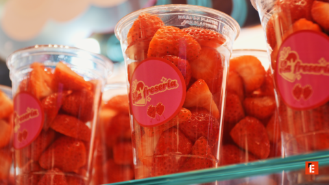 franchise la freseria 2