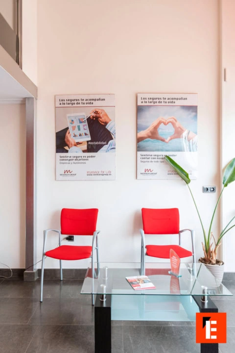 franquicia medialia group 12