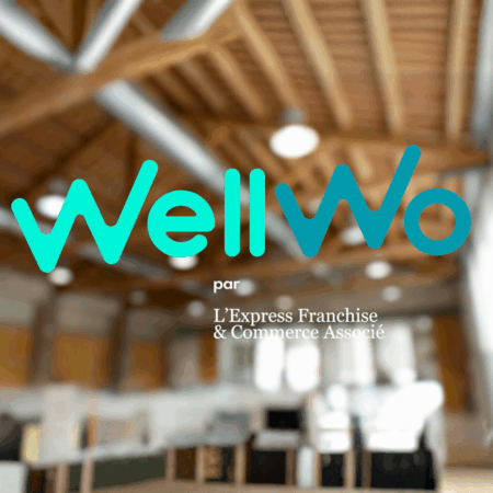 miniature wp wellwoo