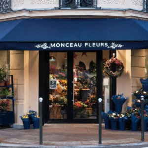monceau fleurs