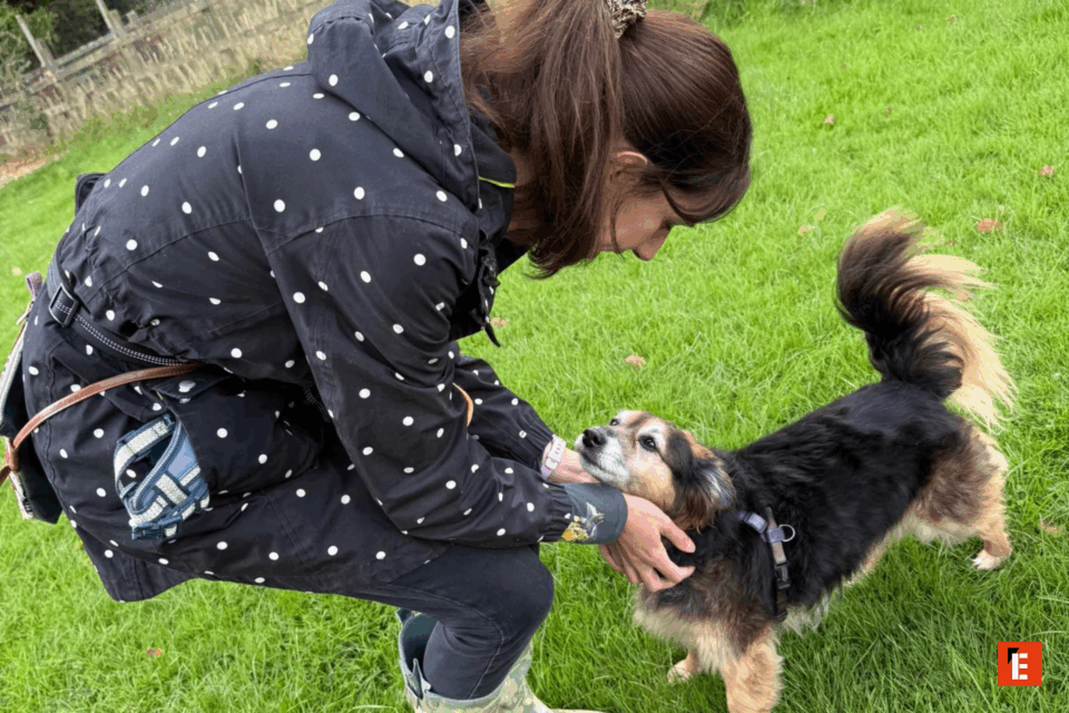 Person bends to pet a friendly dog outdoors.