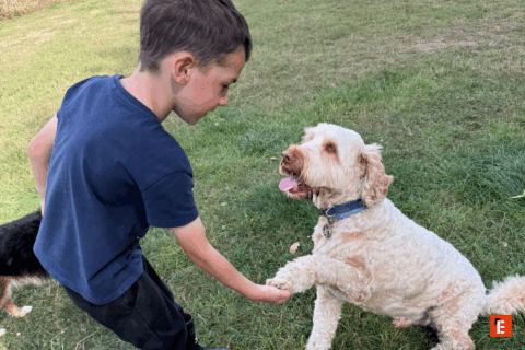 Child playing with a friendly dog outdoors.