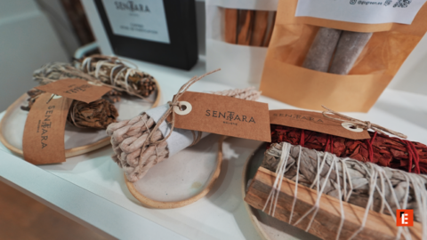 franquicia gogreen 2