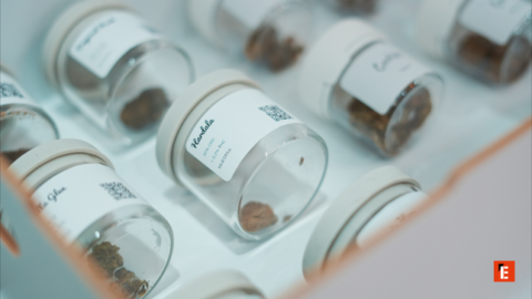 franquicia gogreen 5