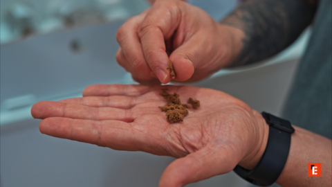 franquicia gogreen 6