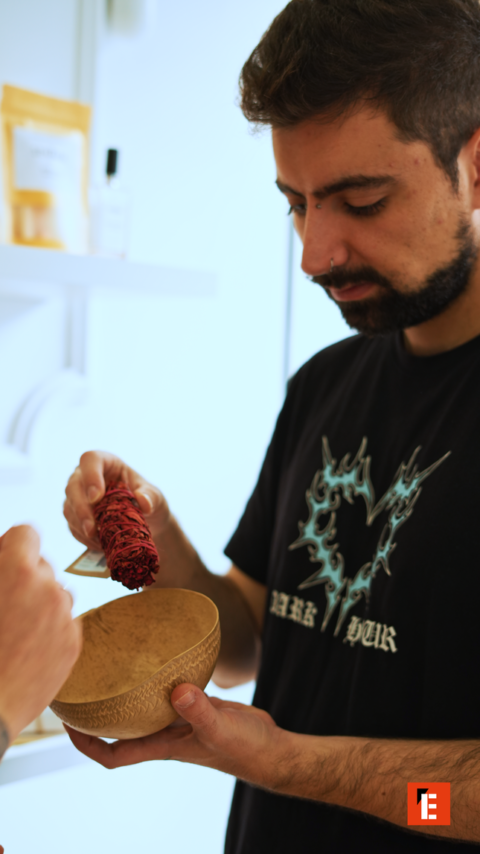 franquicia gogreen 8