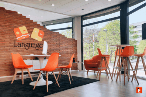 franquicia mister language 1