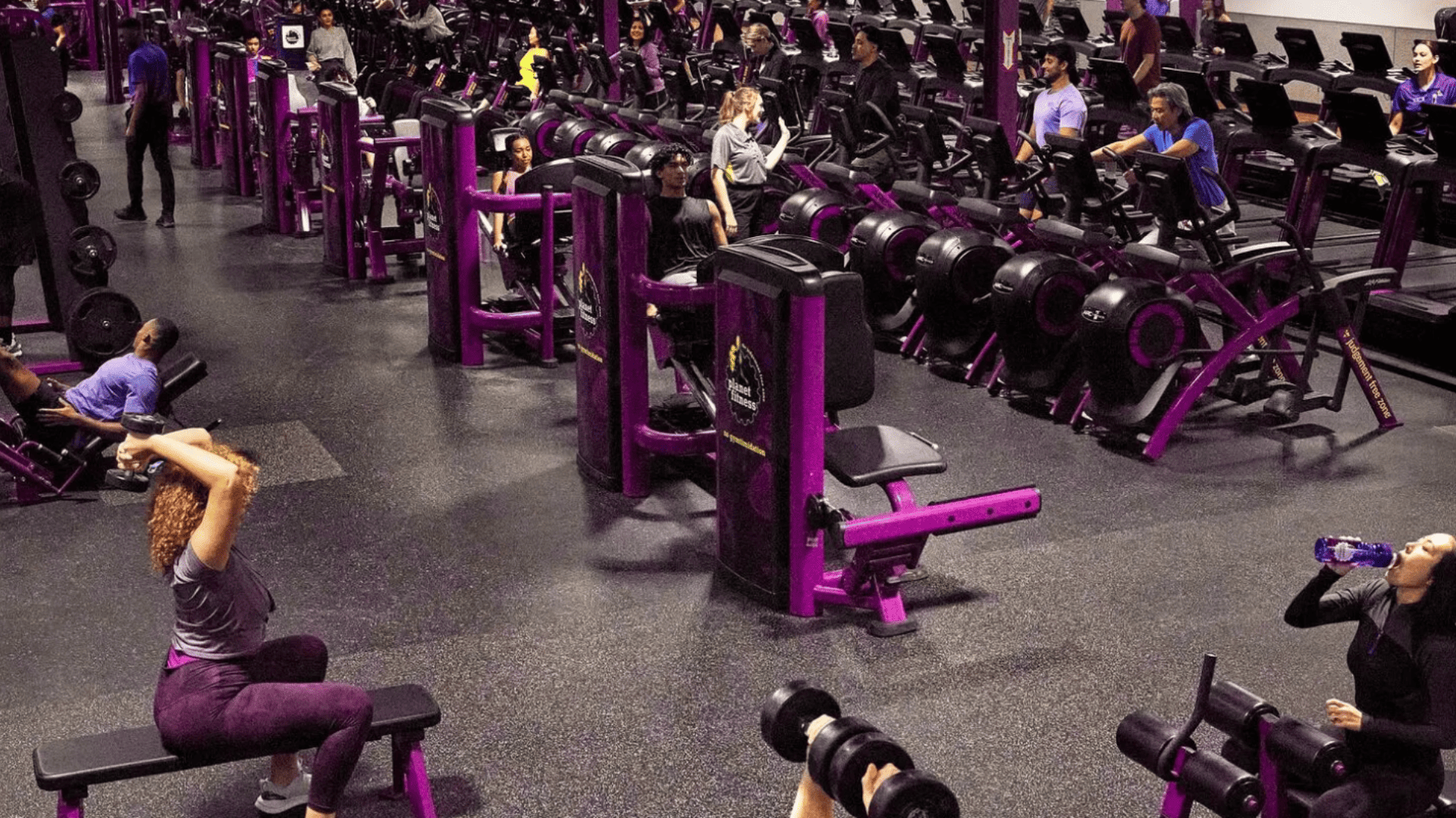 interior gimnasio máquinas planet fitness