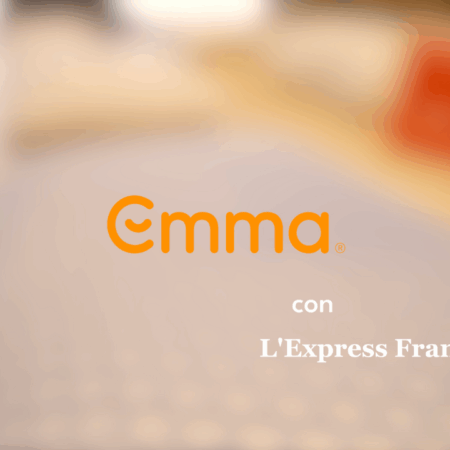miniatura franchising emma