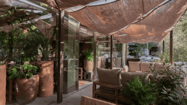 terraza honest greens