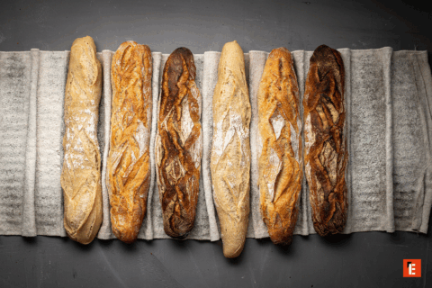 baguettes exposées