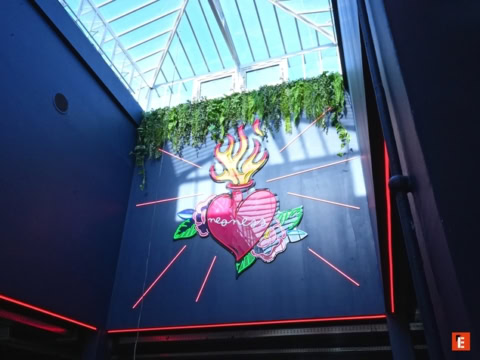 franchise neoness 26