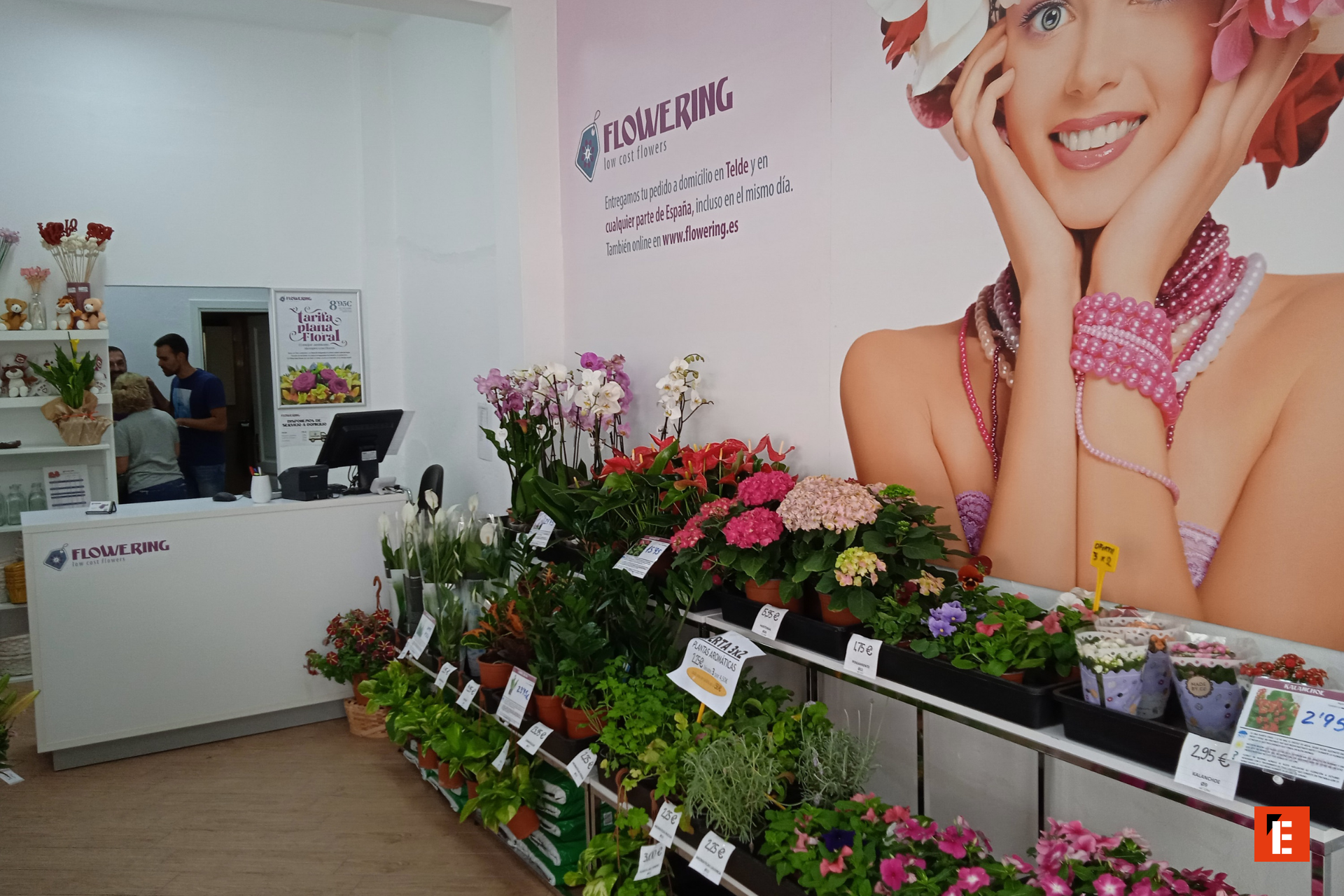 Tienda de flores con diversas plantas y decoración.