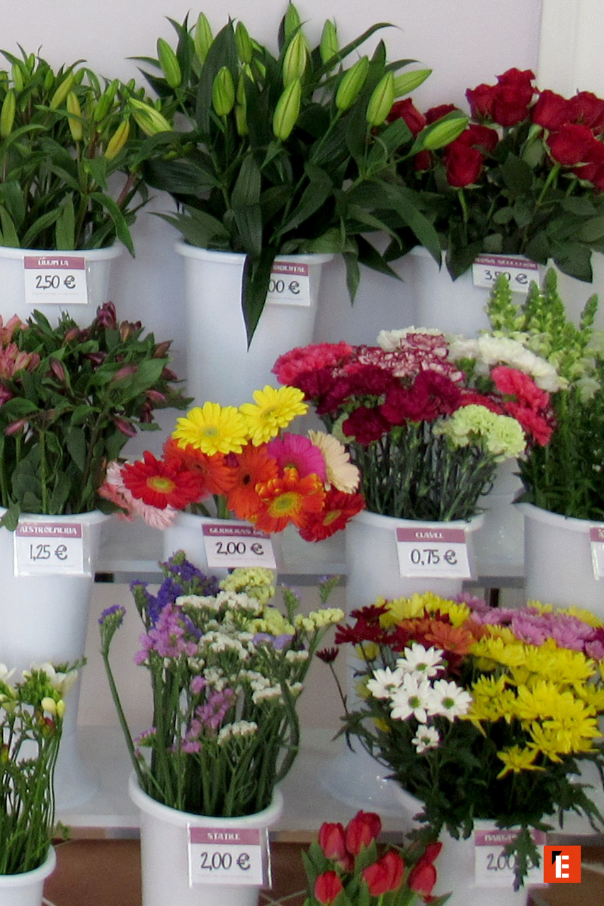 Varias macetas con flores y precios visibles.