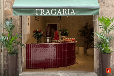 franquicia fragaria 4