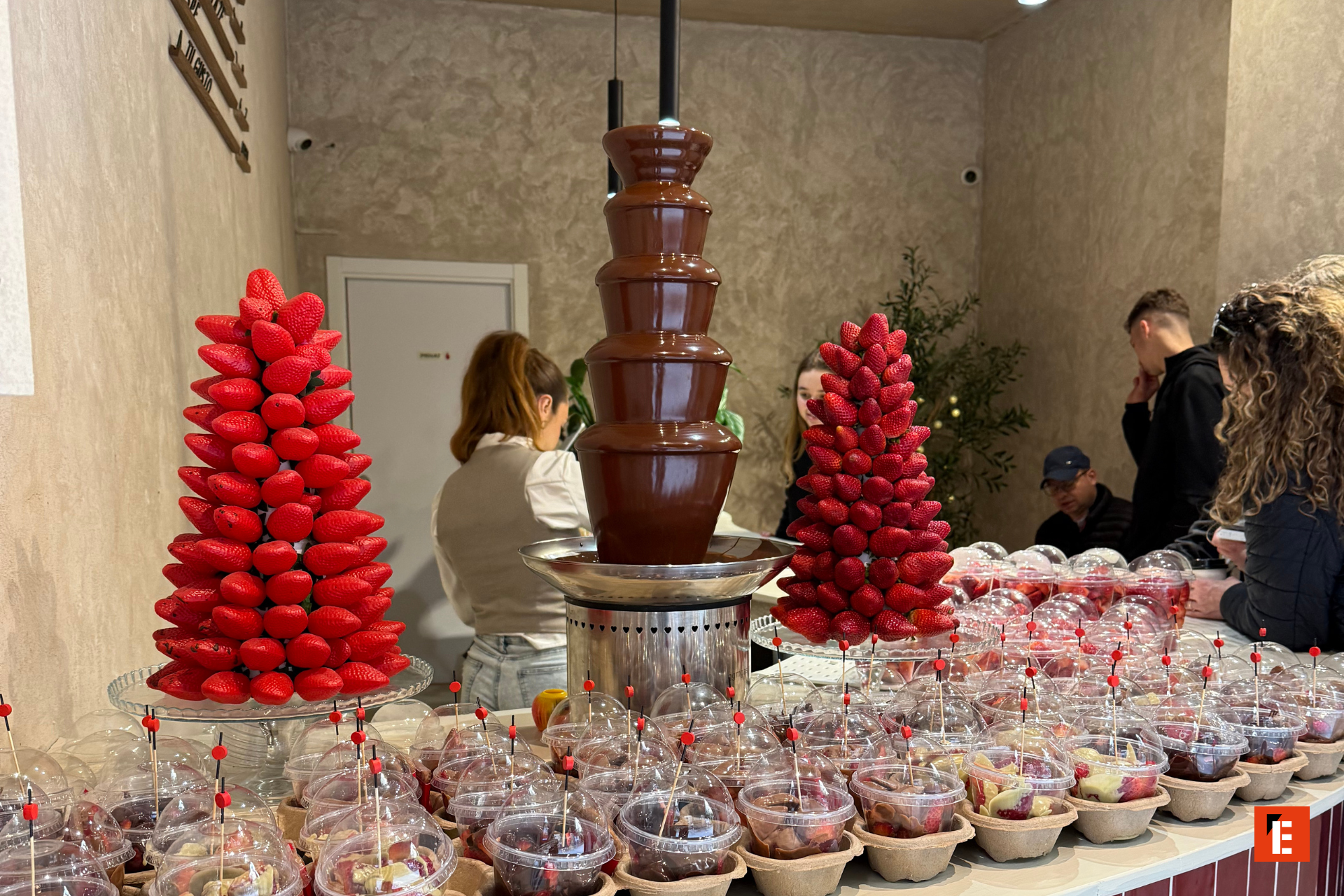 franquicia fragaria 5