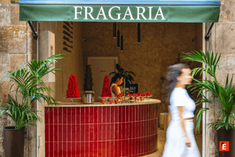 franquicia fragaria 7
