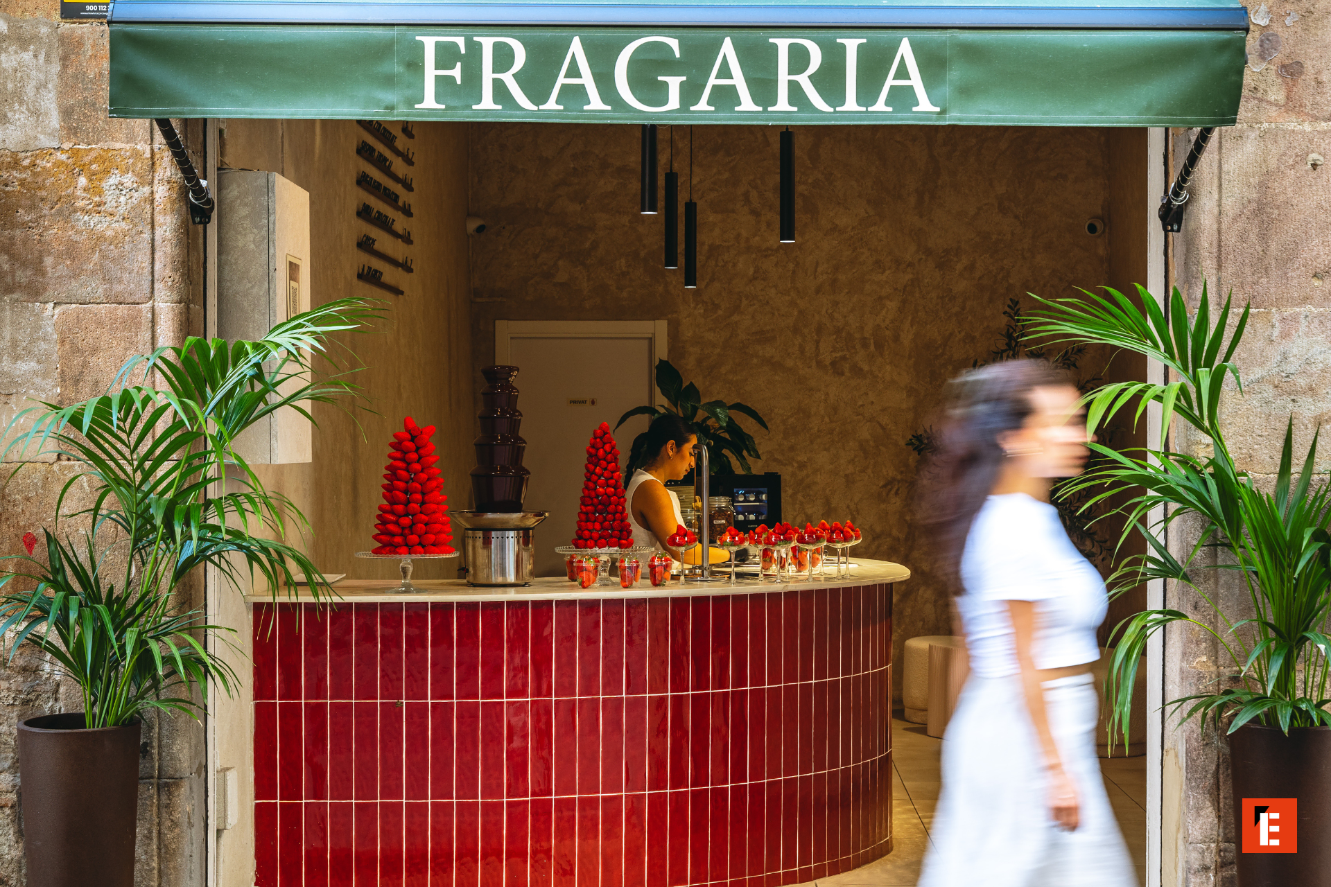 franquicia fragaria 7