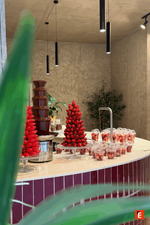 franquicia fragaria 8