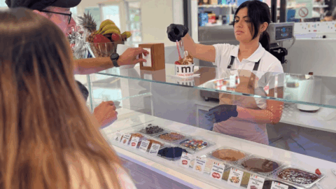interior local yogur helado summy