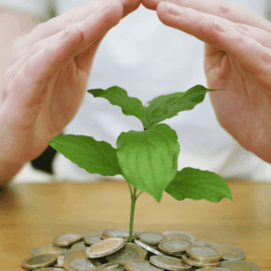 inversión planta dinero