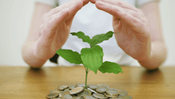 inversión planta dinero