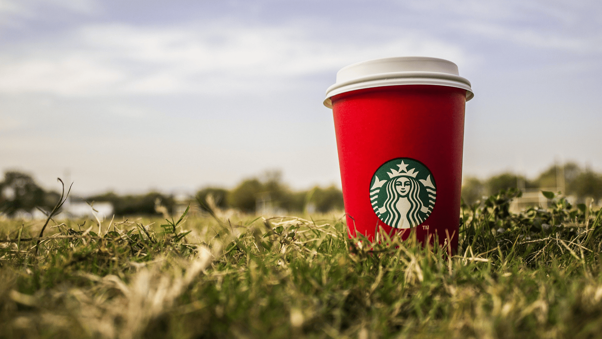 vaso con logo de starbucks entre la hierba