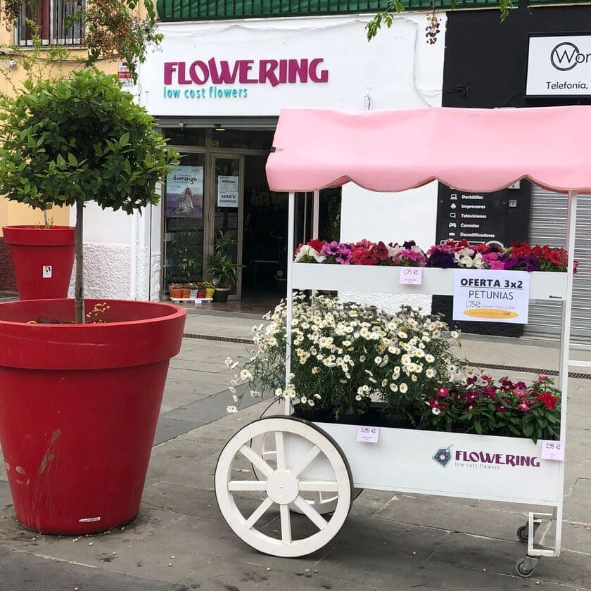 exterior tienda de flores