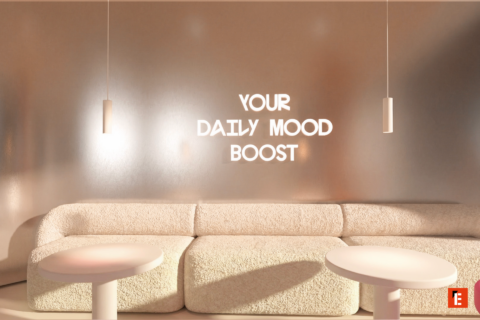 franchise cinnamood 5