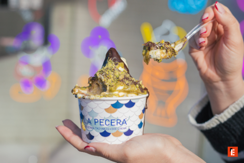 franquicia la pecera19