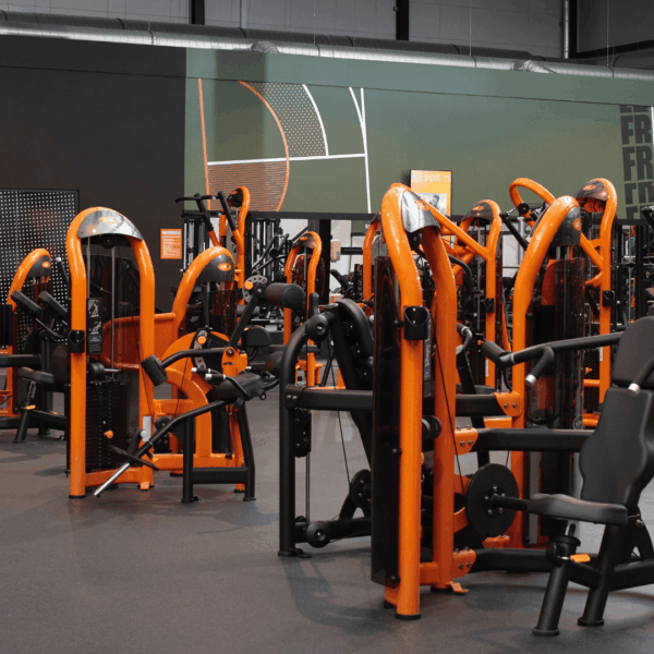 interior gimnasio basic fit