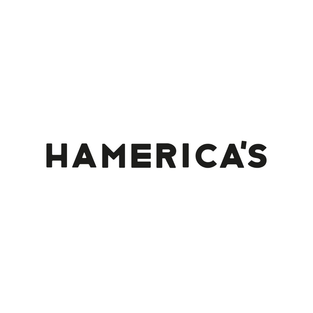 logo franchise hamerica's