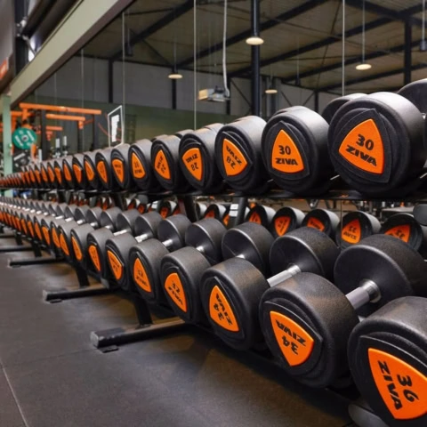 pesas en gimnasio basic fit