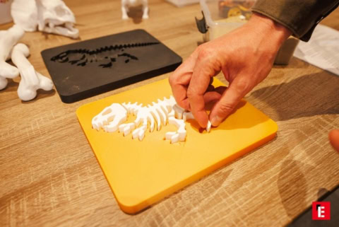 montage dun squelette de dinosaure miniature