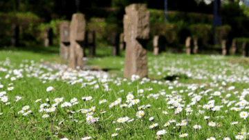 flores en cementerio