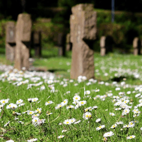 flores en cementerio