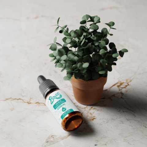 vitrine flowers power : chanvre, cbd et bien Être