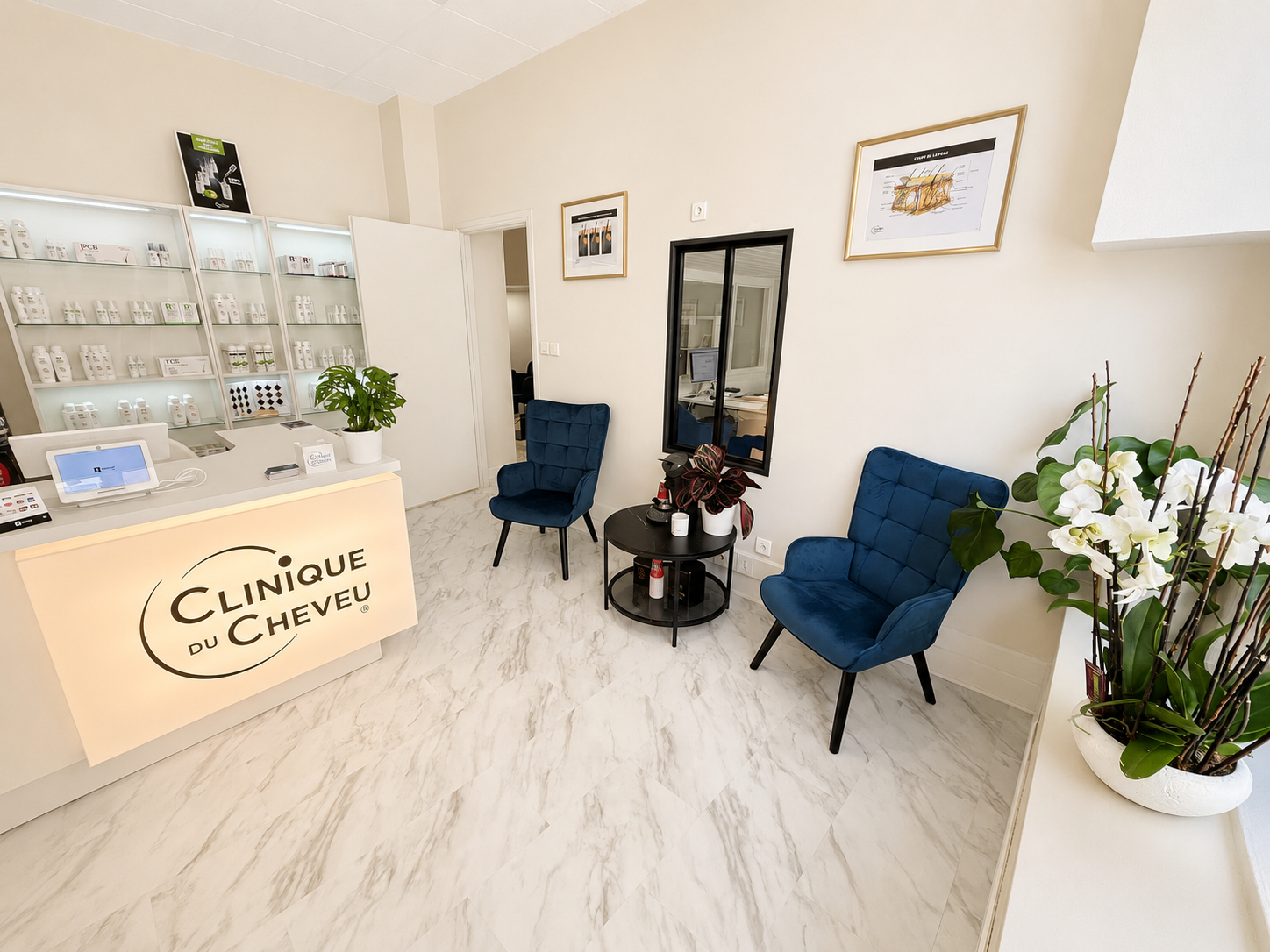 réception clinique du cheveu — fauteuils bleus et orchidée