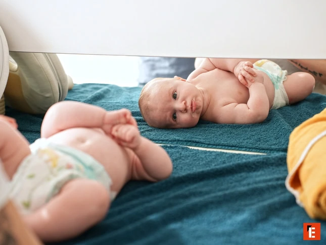 franchise hauméa.10