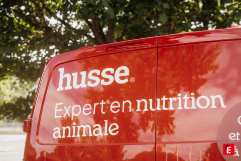 aliments naturels de qualité pour chats husse