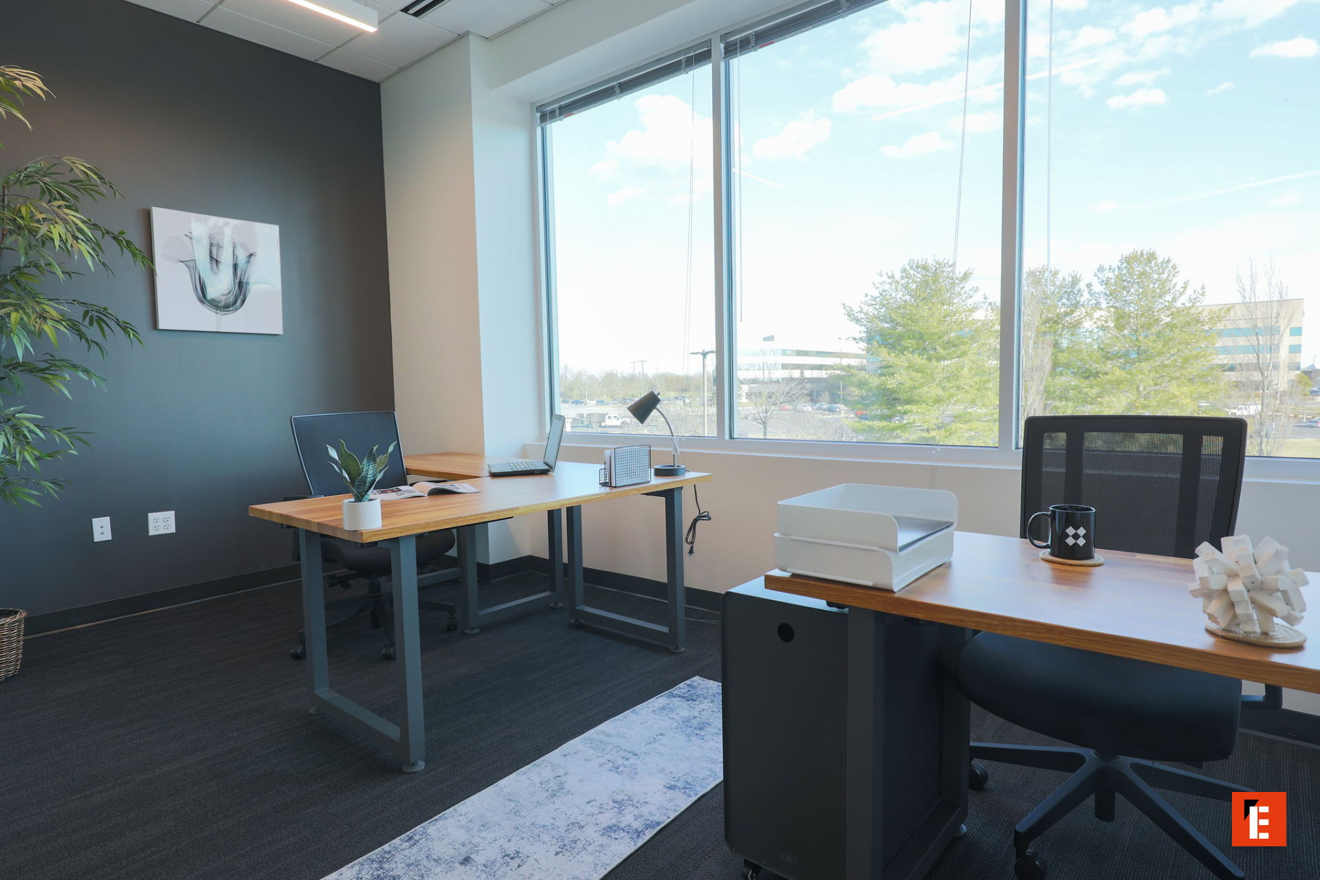 franchise venture x 12