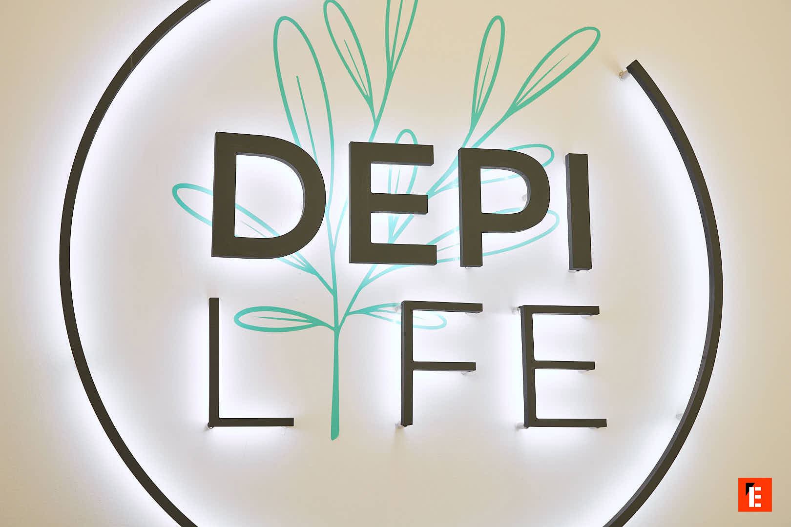 franquicia depilife 5