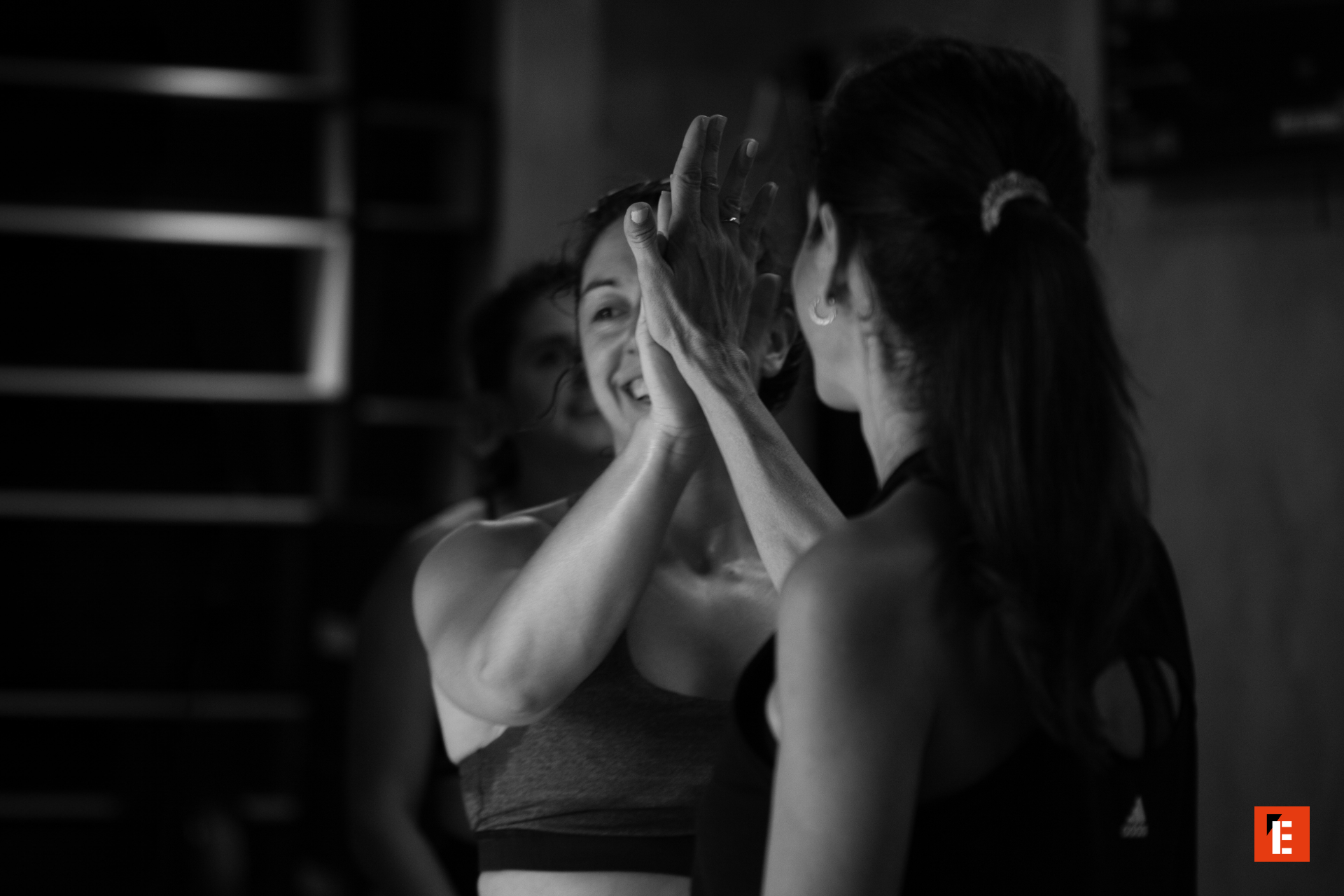 franquicia distrito estudio 3