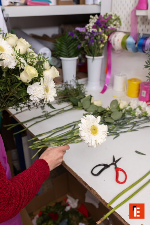 franquicia flowering 3