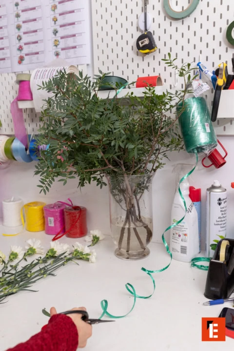 Tienda de flores con diversas plantas y decoración.