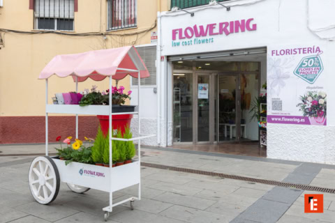 franquicia flowering 7