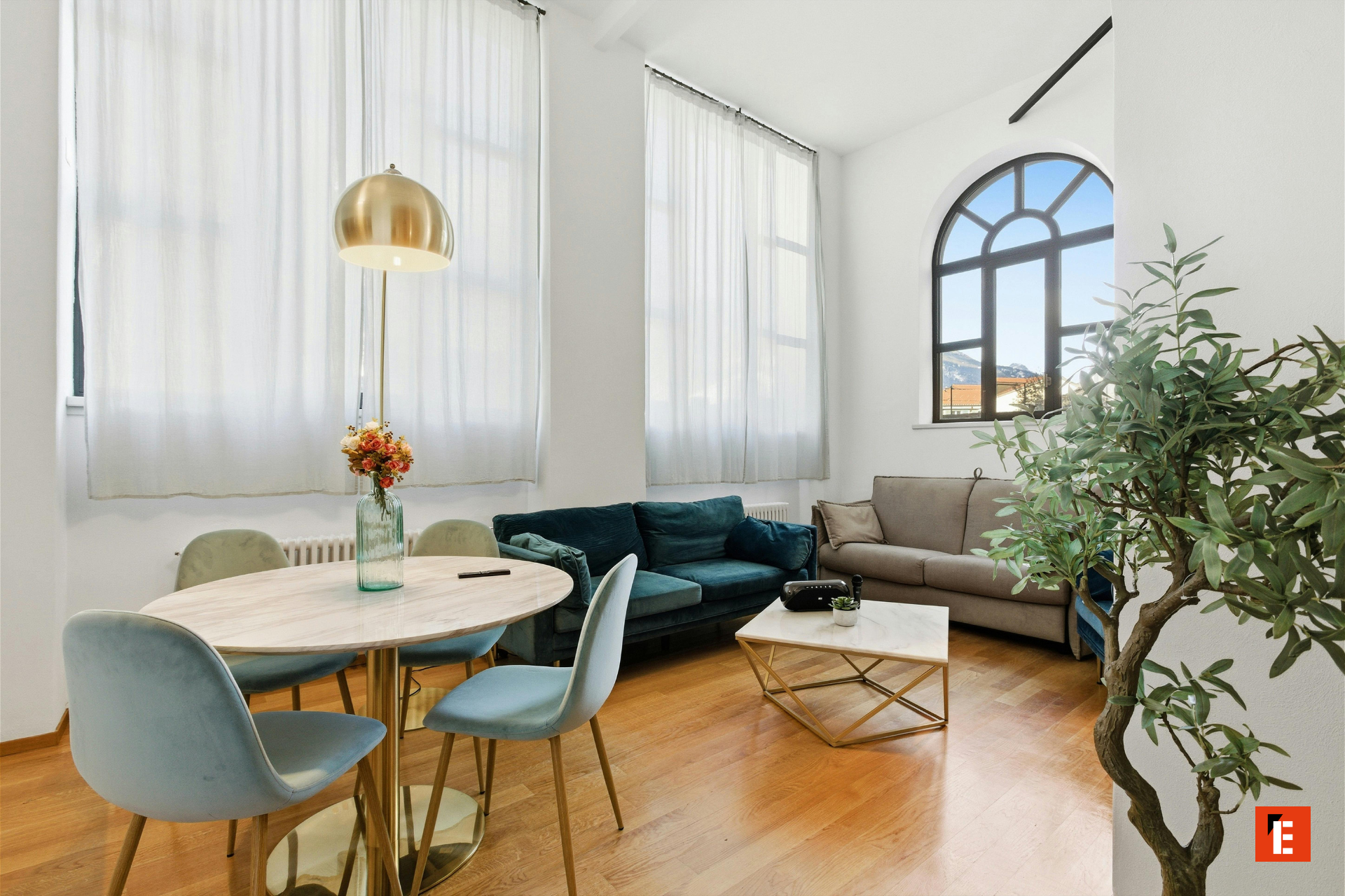 salon et salle à manger lumineux en velours et bois