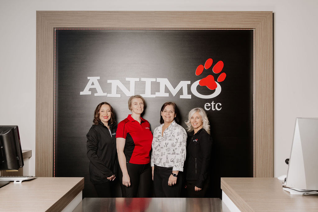 Équipe daccueil animo en clinique vétérinaire